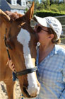 My horse's adorable face